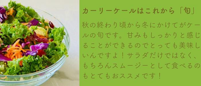 カーリーケール