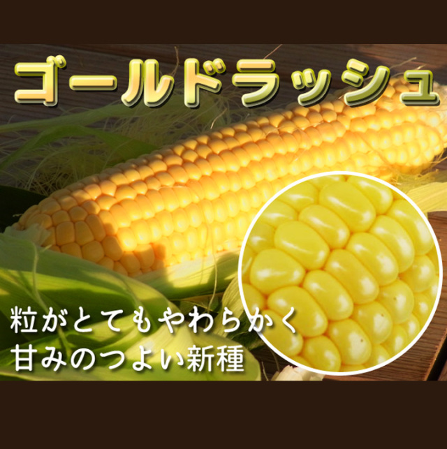 ゴールドラッシュ