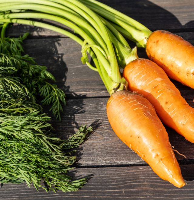 ハツキニンジン