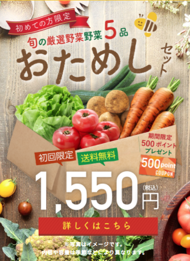 お試し野菜セット