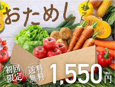 【初めての方限定】旬の厳選野菜5品おためしセット