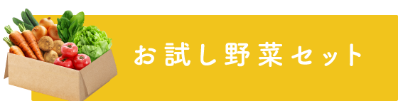 お試し野菜セット