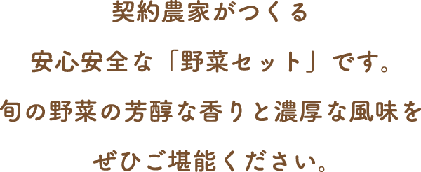 契約農家がつくる安心安全な「野菜セット」です。旬の野菜の芳醇な香りと濃厚な風味をぜひご堪能ください。