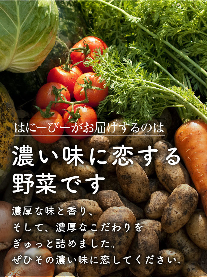 はにーびーがお届けするのは濃い味に恋する野菜です