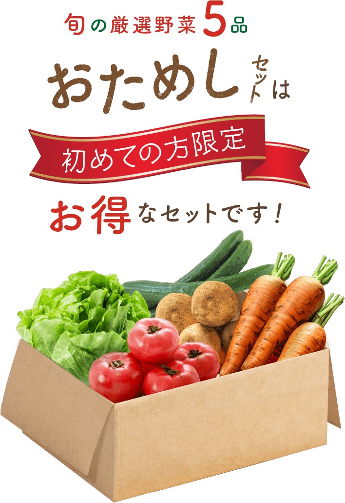 お試しセットは初めての方限定のお得なセットです